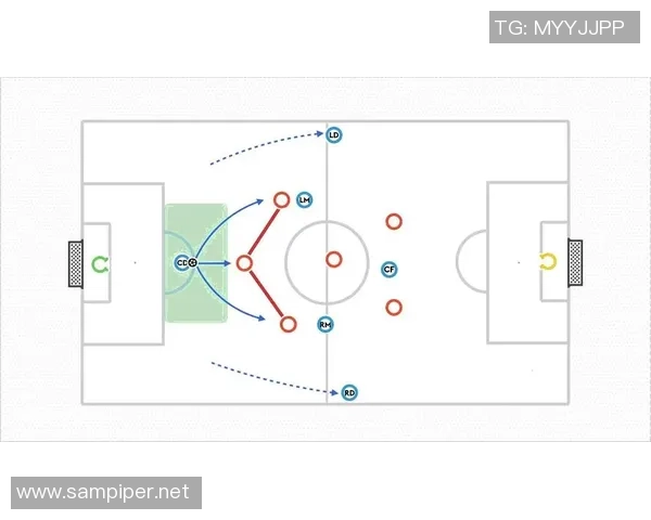 深入分析北京羽毛球队的区域防守战术及其战术优势