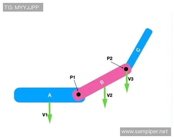 羽毛球战术：上海羽毛球队的节奏体系