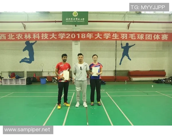 羽毛球巨献:探秘成都羽毛球队的团队协作