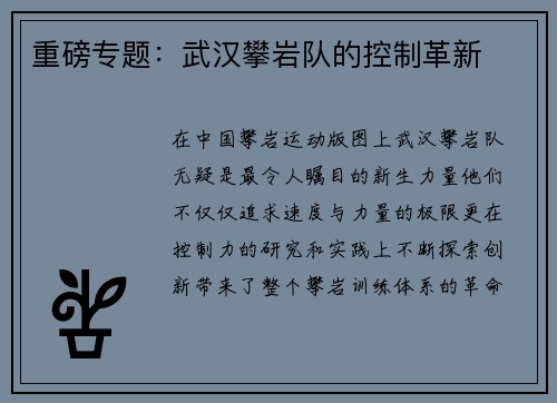 重磅专题：武汉攀岩队的控制革新