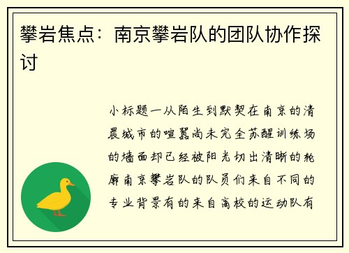 攀岩焦点：南京攀岩队的团队协作探讨