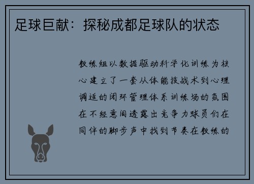 足球巨献：探秘成都足球队的状态