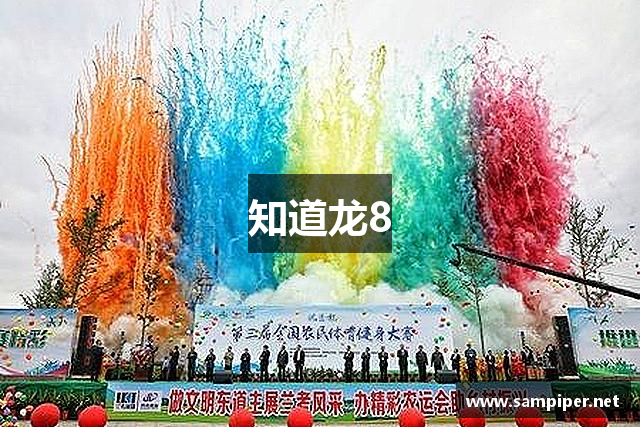 知道龙8